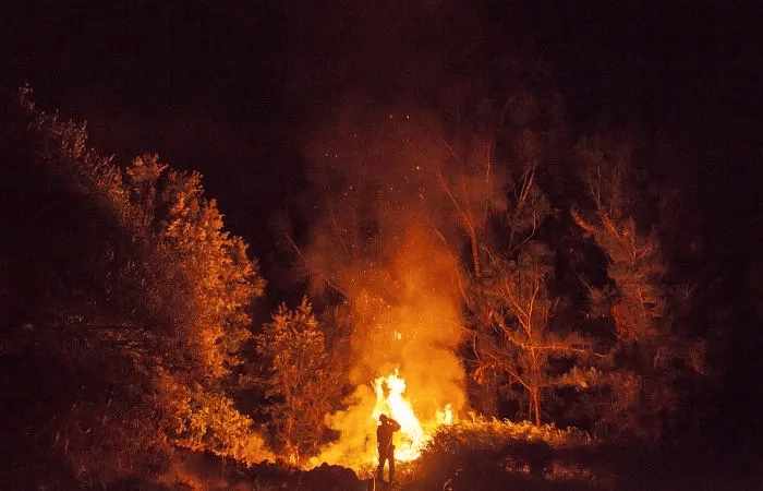 O que arde