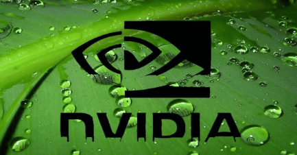 What will happen to Nvidia in five years? Prospects of Nvidia's image processor