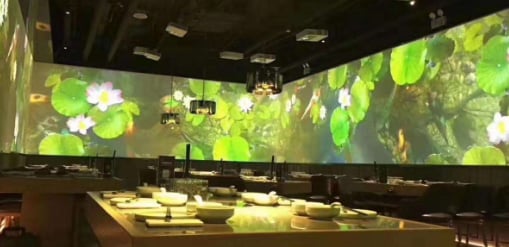 projectors for restaurant