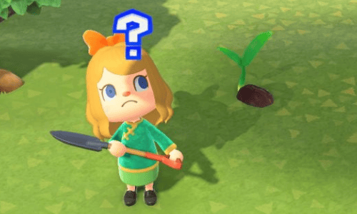 Animal Crossing: New Horizons - Things you should not do