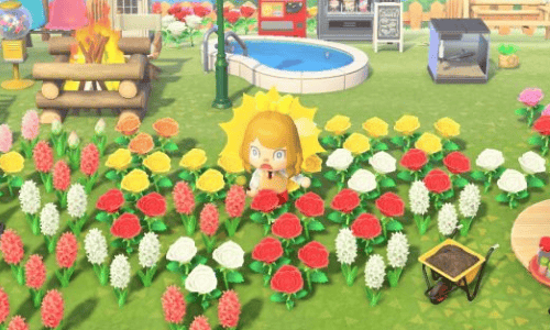Animal Crossing: New Horizons - Things you should not do
