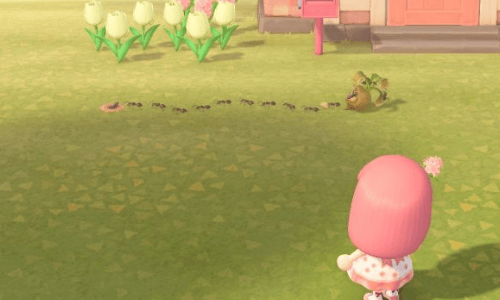 Animal Crossing: New Horizons - Watch out, don't do it