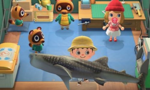 Animal Crossing: New Horizons - Watch out, don't do it