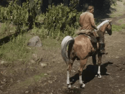 Game Sharing: Crazy Details in Red Dead Redemption 2