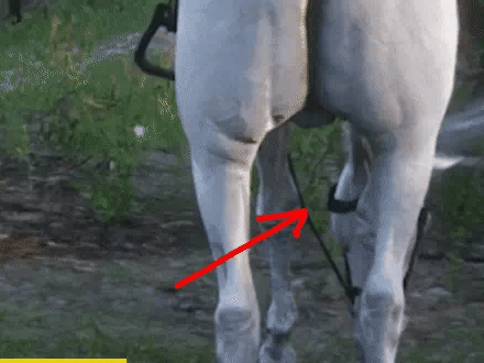 Game Sharing: Crazy Details in Red Dead Redemption 2