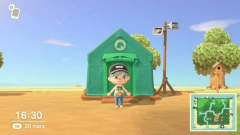 Animal Crossing New Horizons fishing