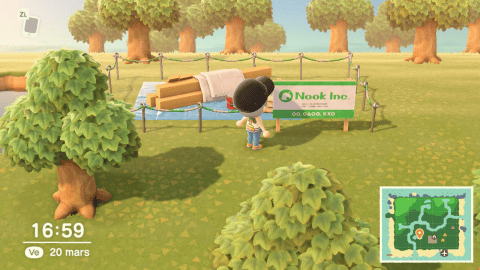 Animal Crossing New Horizons