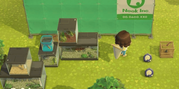Animal Crossing: New Horizons Guide