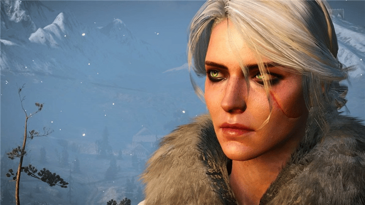The Witcher 4