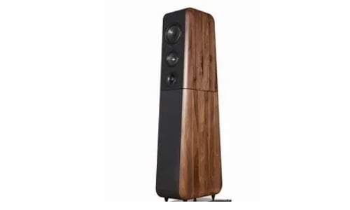 Elegant Chario Aviator Amelia speaker looks like violin case