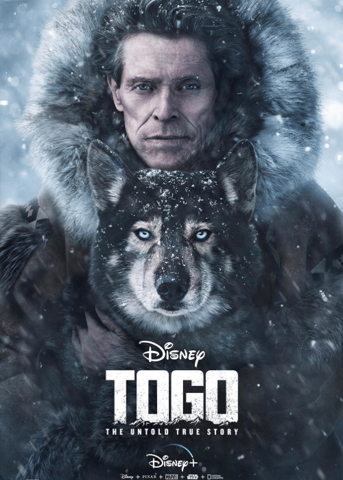Togo The Untold True Story Review: A dog movie worth watching again