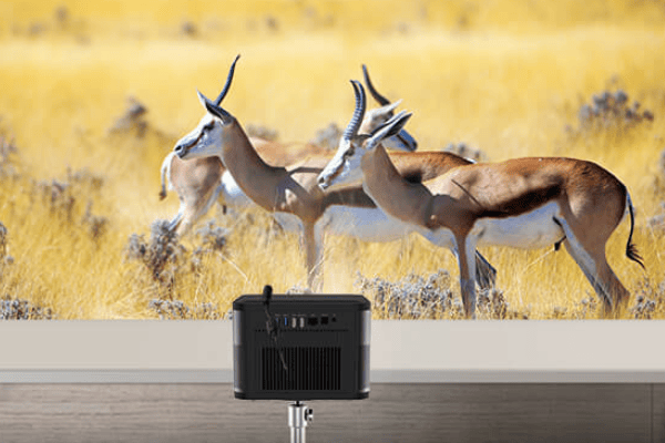Projector common malfunctions maintenance and solutions