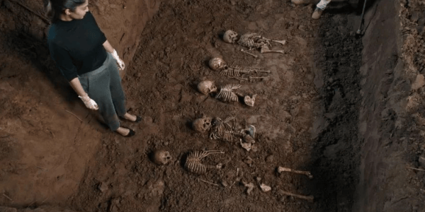 Forensic India crime and thriller film review