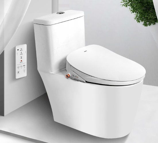 China smart toilet industry analysis: dilemma, enviroment, prospect