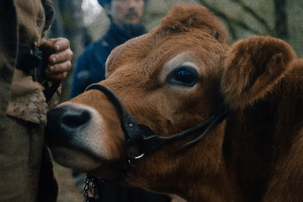 First Cow movie short review: sincere simplicity but the narrative is too personal