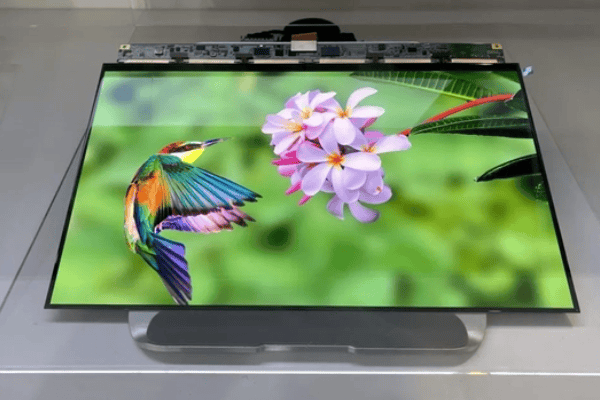 BOE innovative display technologies and solutions on DIC EXPO 2020