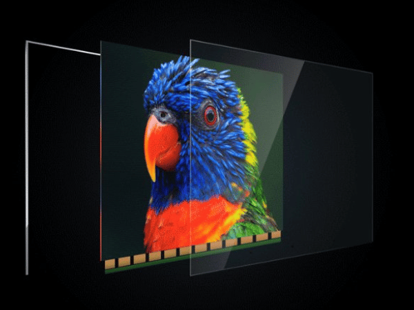 What is the principle of Xiaomi Transparent TV? 