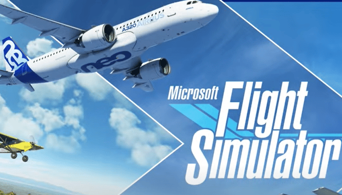 What are the advantages and disadvantages of Microsoft Flight Simulator?
