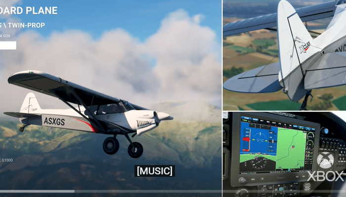 What are the advantages and disadvantages of Microsoft Flight Simulator?