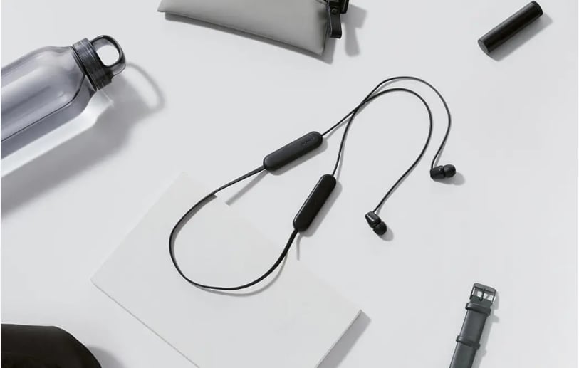 Sony WI-C100 Wireless Headphones