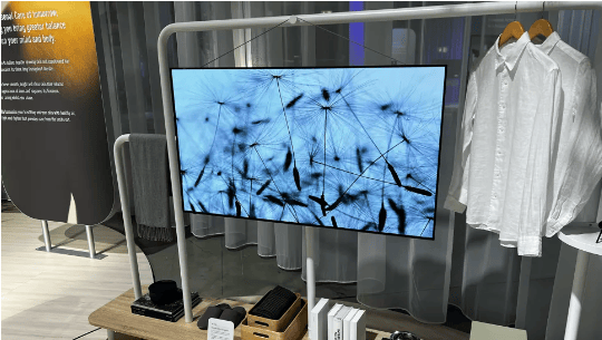 Panasonic Semi Wireless OLED TV