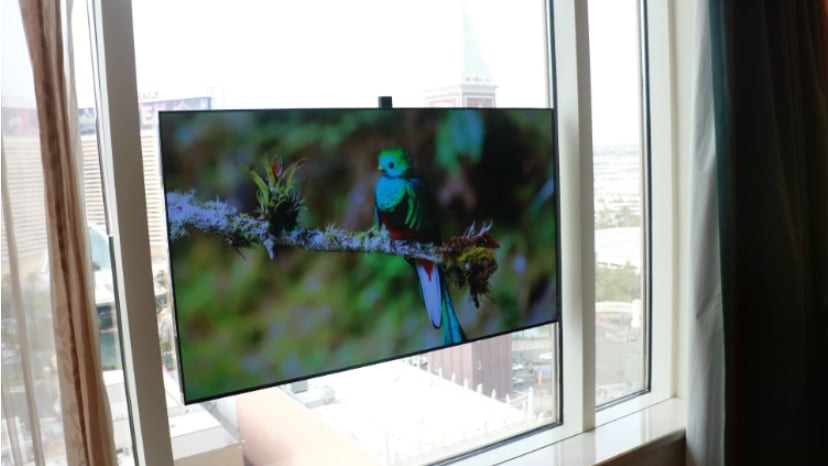 2023 Displace 4K OLED TV