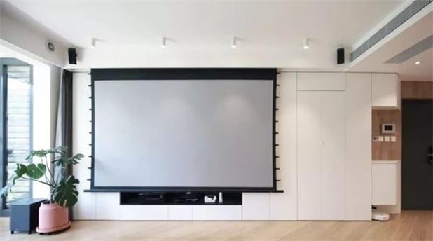 Do young people’s living rooms install a TV or a projector? 