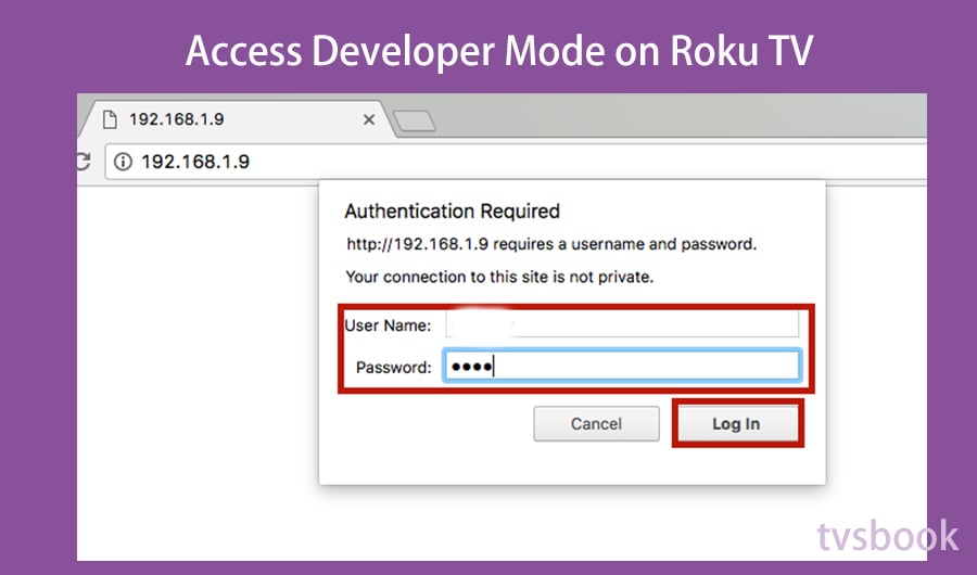 Access Developer Mode on Roku TV.jpg