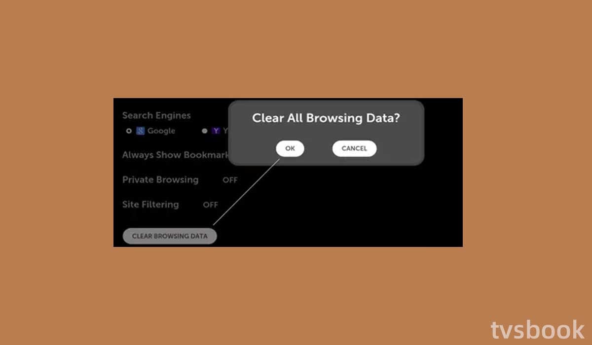 Clear browsing data on lg tv.jpg