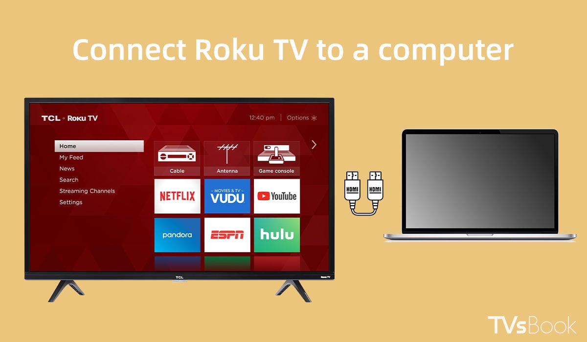 Connect Roku TV to a computer.jpg