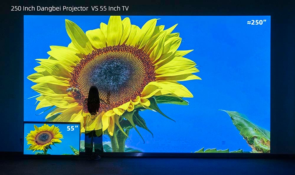 dangbei projector 250inch vs 55inch tv.jpg