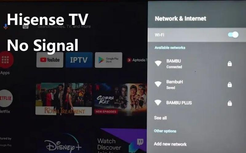 Hisense TV No signal when connected to Network.jpg