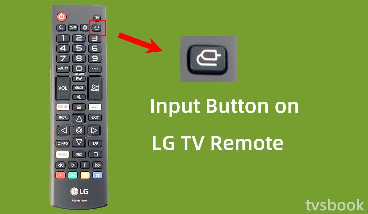 input button on LG TV remote.jpg