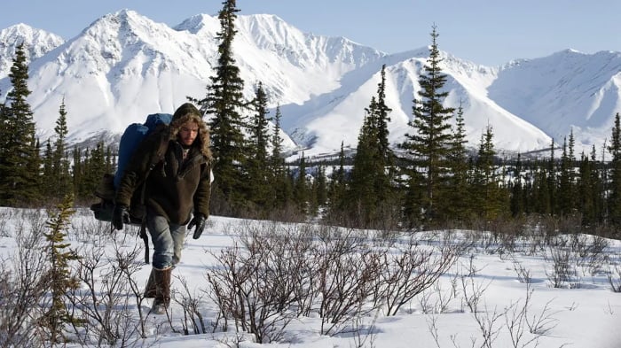 Into the Wild 