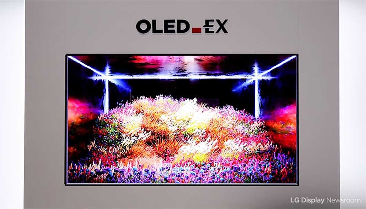 LG OLED Ex panel.jpg