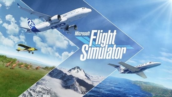 Microsoft Flight Simulator.jpg