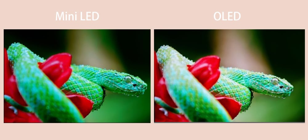 Mini LED vs OLED TV Color and gamut.jpg
