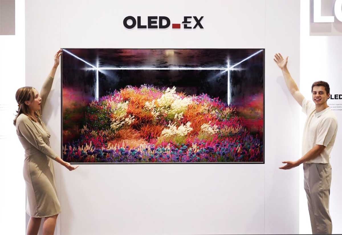 OLED Ex panel.jpg