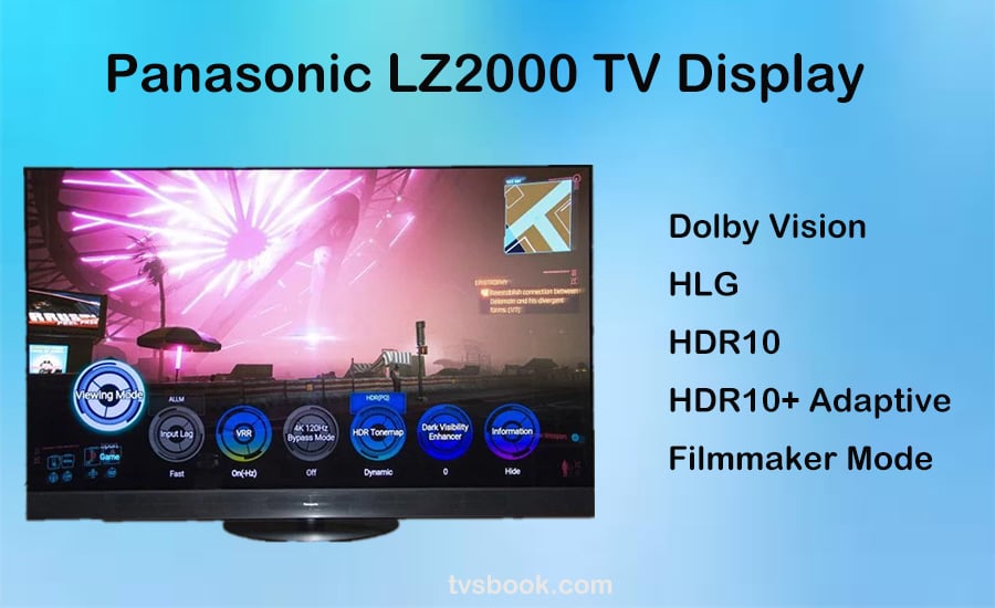 Panasonic LZ2000 display format.jpg