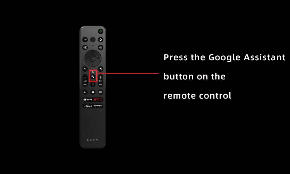 Press the Google Assistant button.jpg