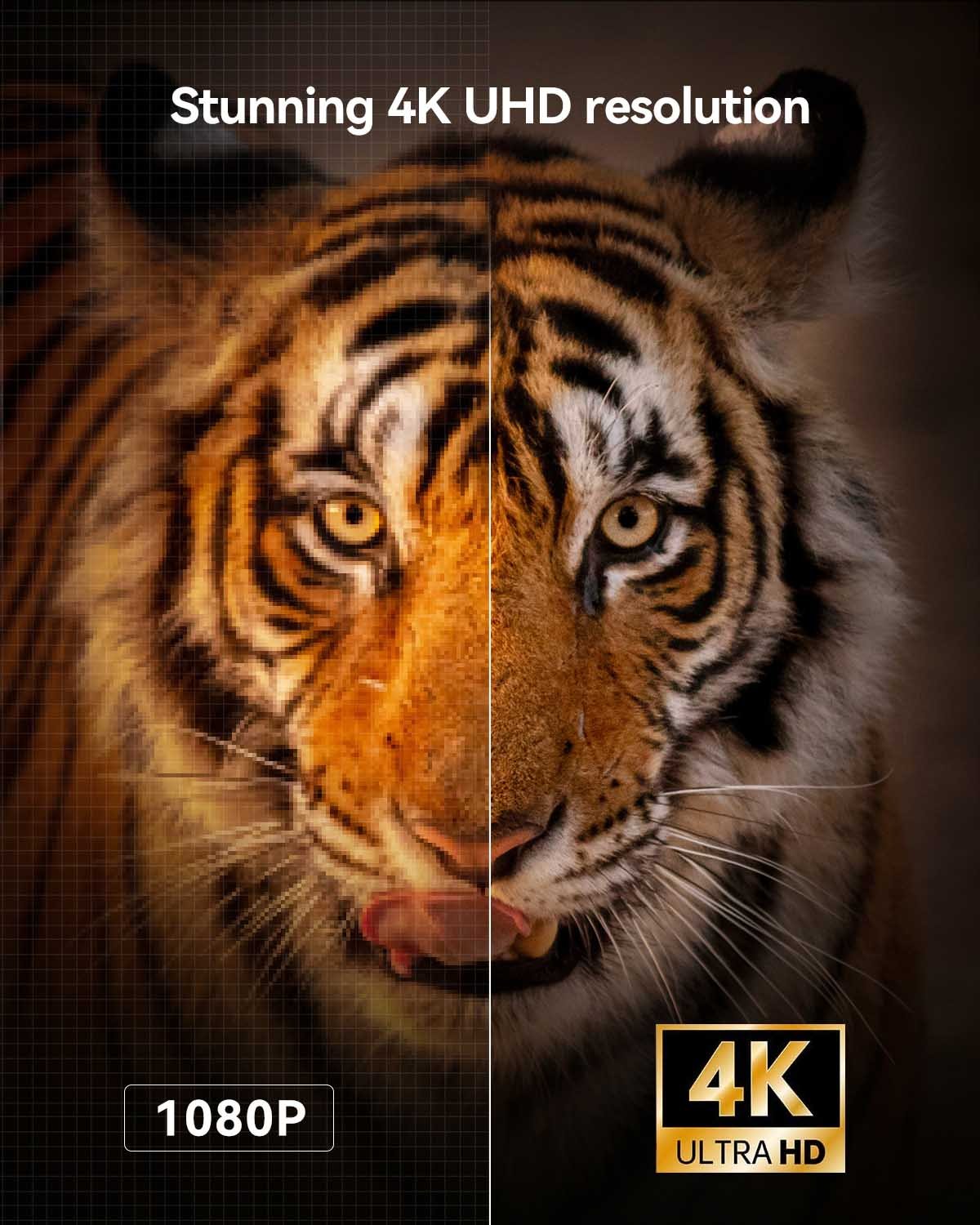 projector resolution-4k vs 1080p.jpg