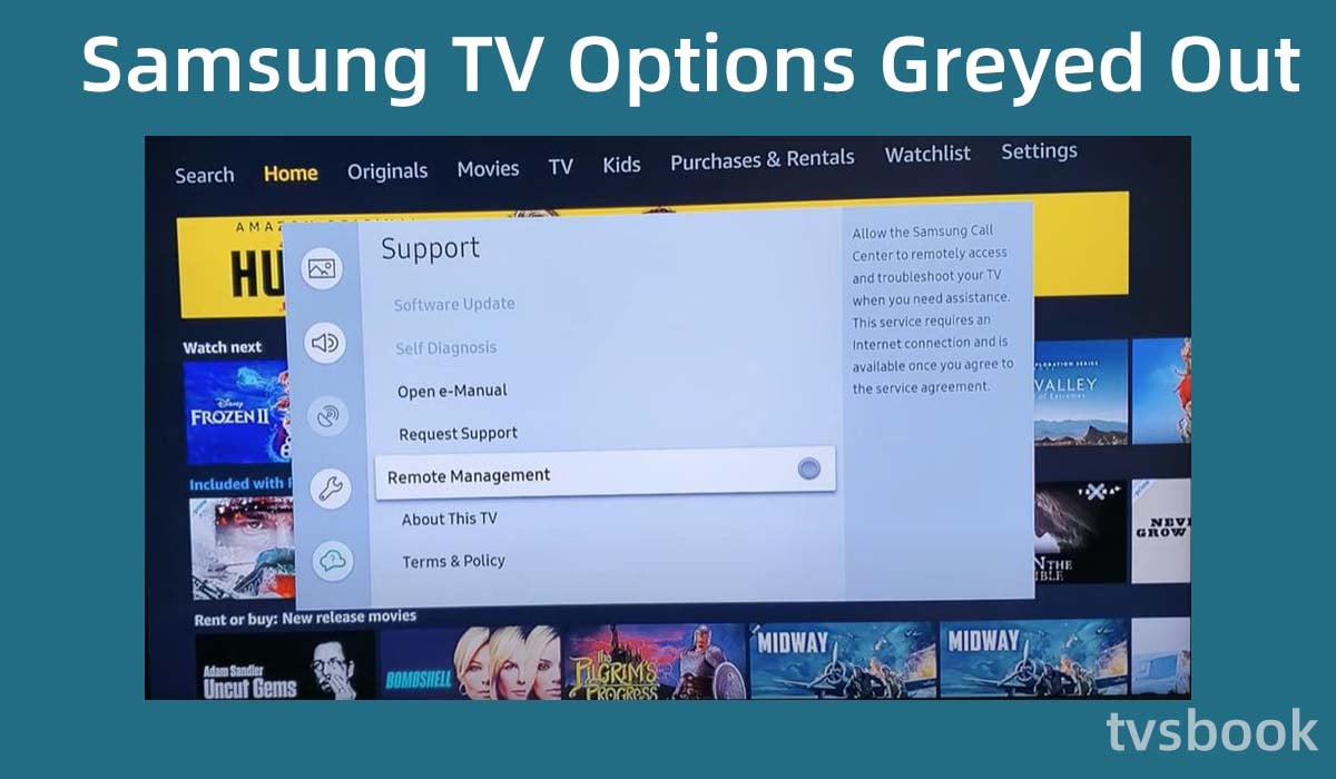 Samsung TV Options Greyed Out.jpg