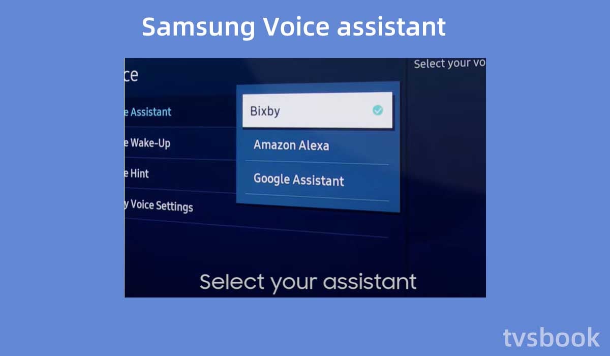 Samsung Voice assistant.jpg