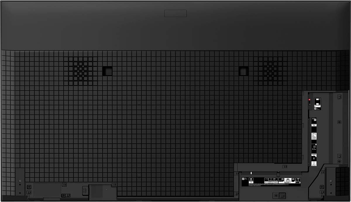 Sony A95K Inputs.jpg