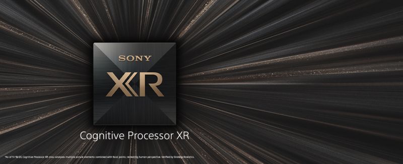 Sony XR Chip.jpg