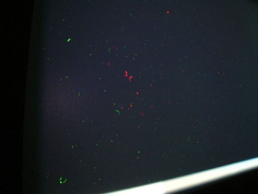 spot on laser projector screen.jpg