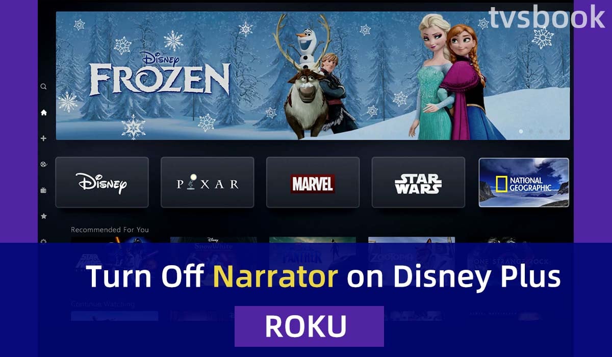 turn off narrator on Disney plus on Roku.jpg