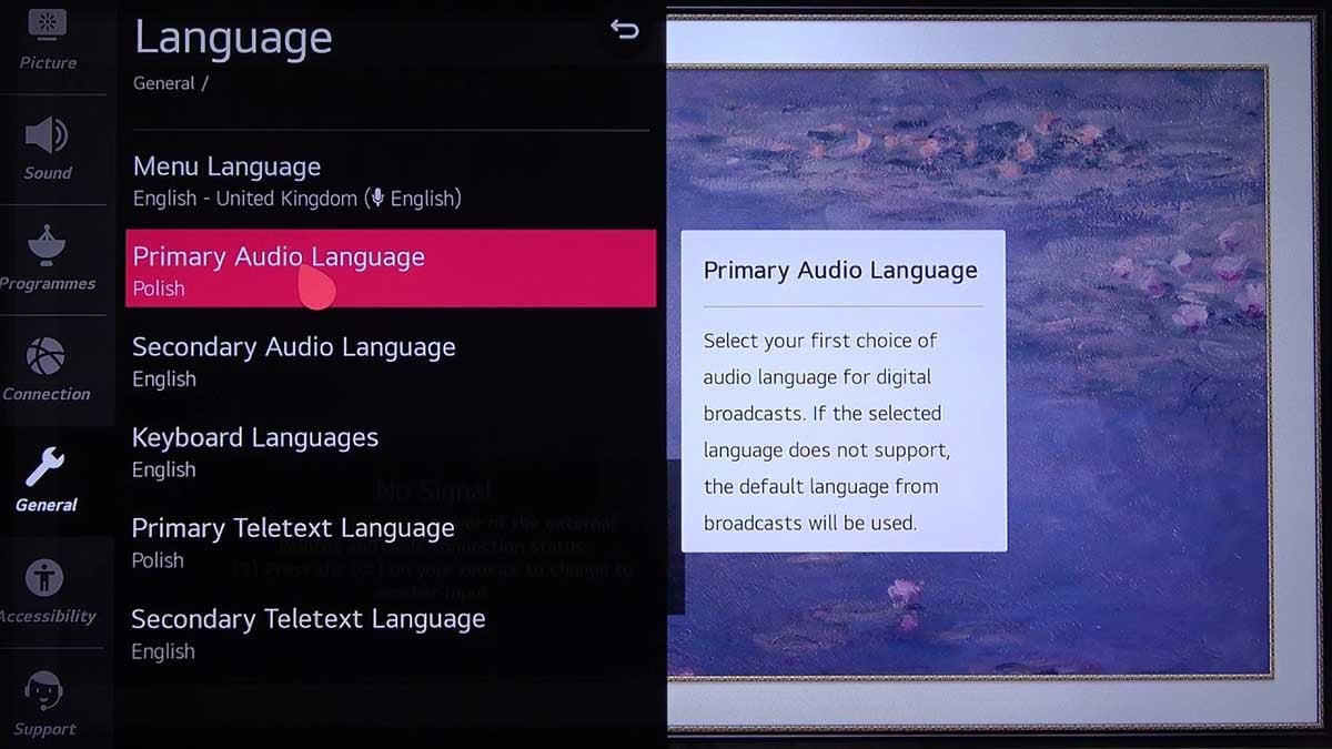 tv audio option SAP.jpg