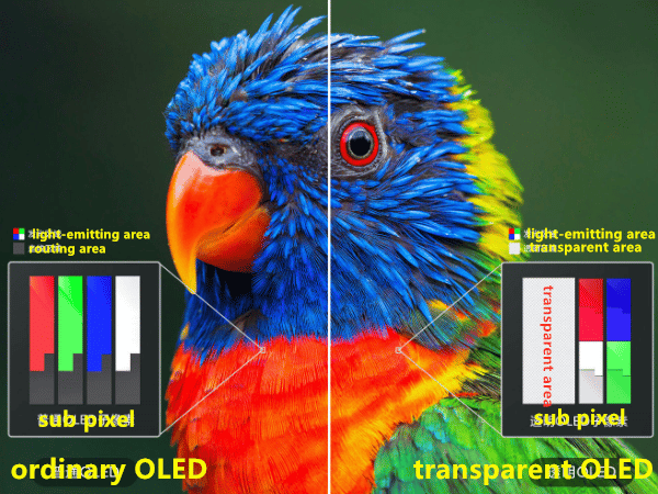 What is the principle of Xiaomi Transparent TV? 