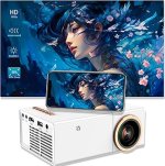 Amovfilm300ProPortableOutdoorProjector.jpg